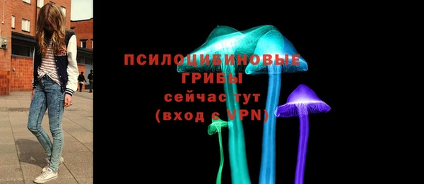 эйфоретик Абинск